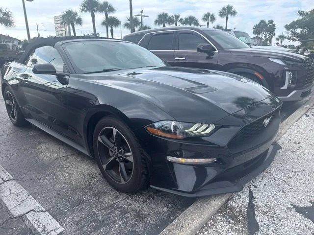 2019 Ford Mustang EcoBoost RWD photo