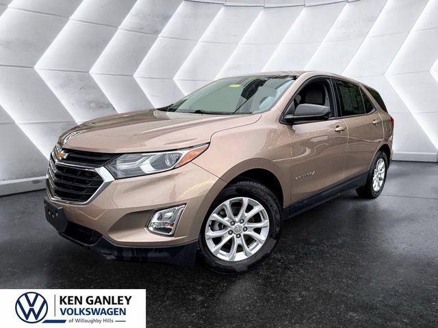 2019 Chevrolet Equinox LS FWD photo
