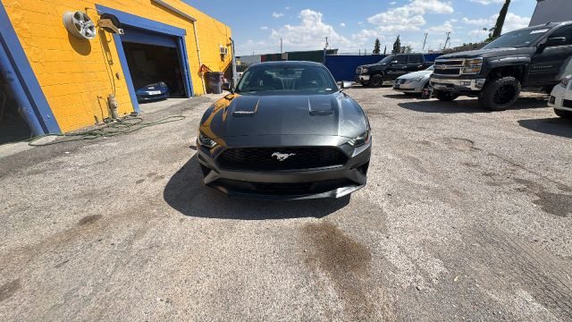 2019 Ford Mustang EcoBoost RWD photo