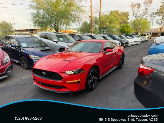 2019 Ford Mustang EcoBoost RWD photo