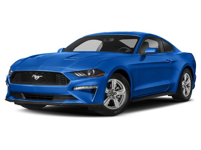 2019 Ford Mustang GT RWD photo