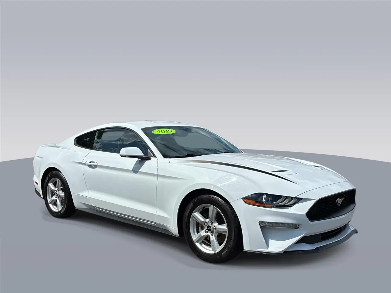 2019 Ford Mustang EcoBoost RWD photo