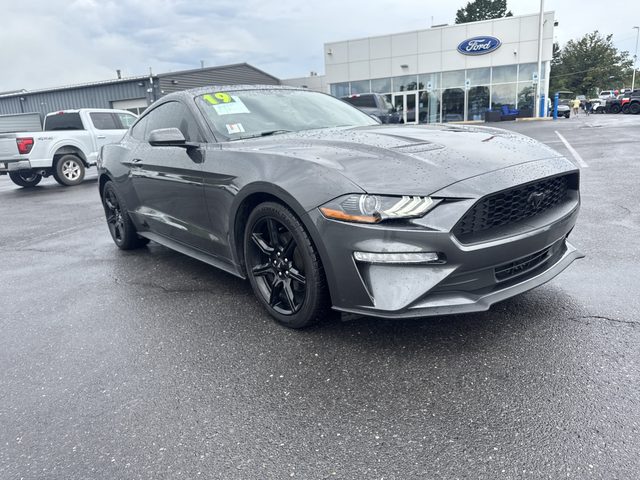 2019 Ford Mustang EcoBoost RWD photo