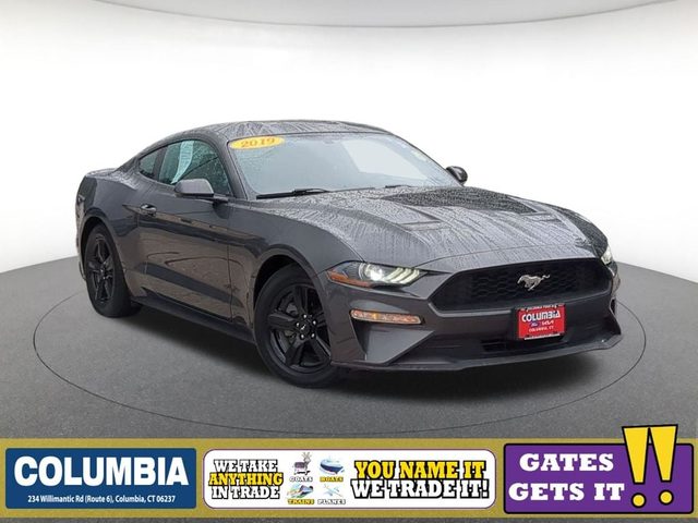 2019 Ford Mustang EcoBoost RWD photo