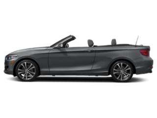 2019 BMW 2 Series 230i RWD photo