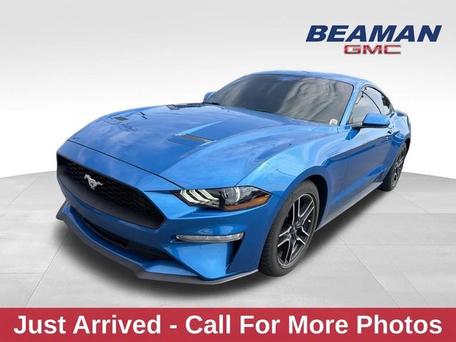 2019 Ford Mustang EcoBoost RWD photo