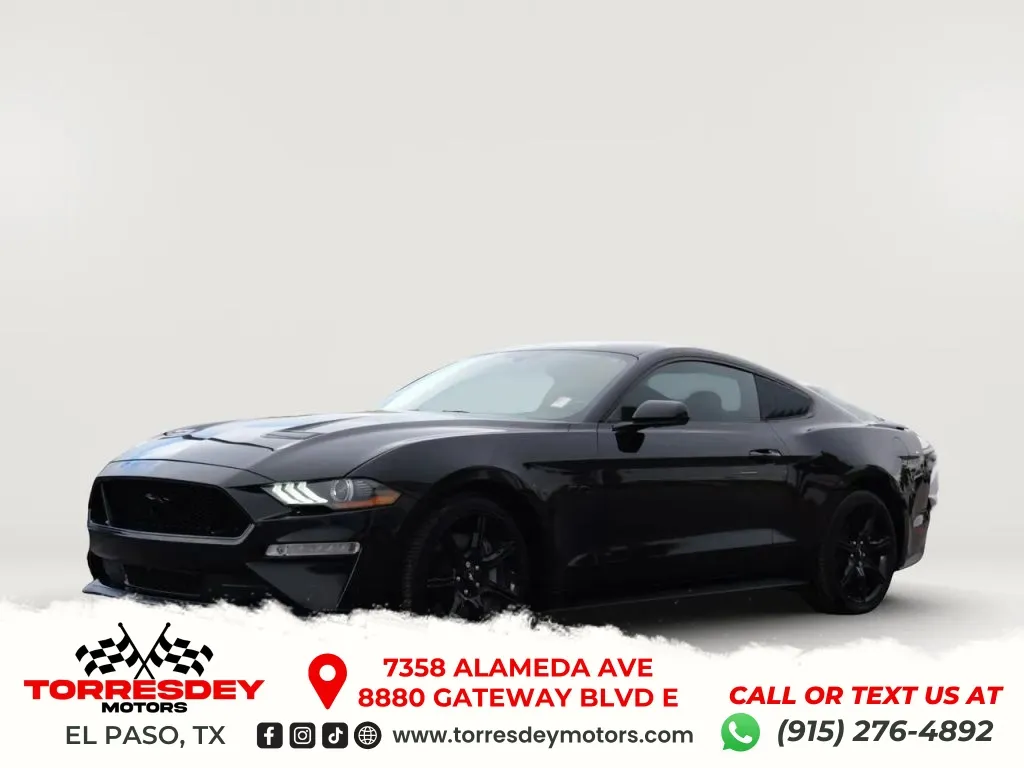 2019 Ford Mustang GT RWD photo