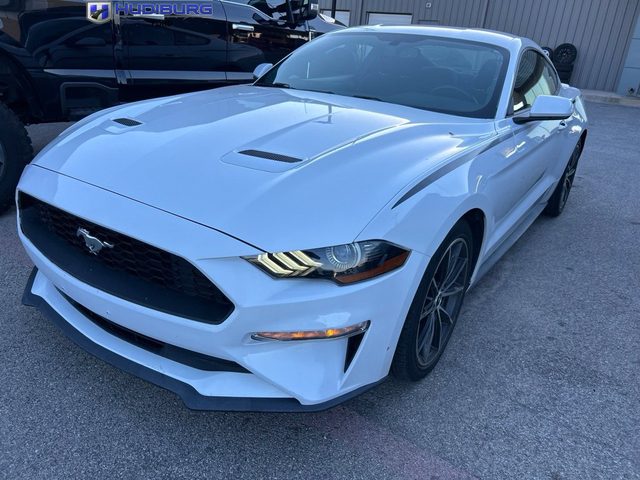 2019 Ford Mustang EcoBoost RWD photo