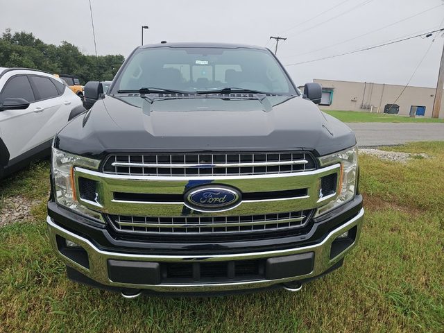 2018 Ford F-150 XLT 4WD photo