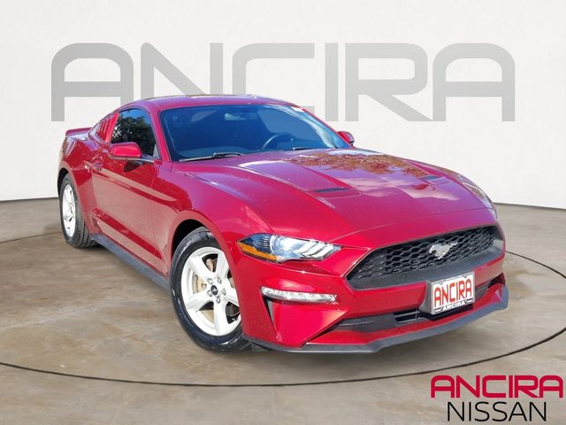 2019 Ford Mustang EcoBoost RWD photo