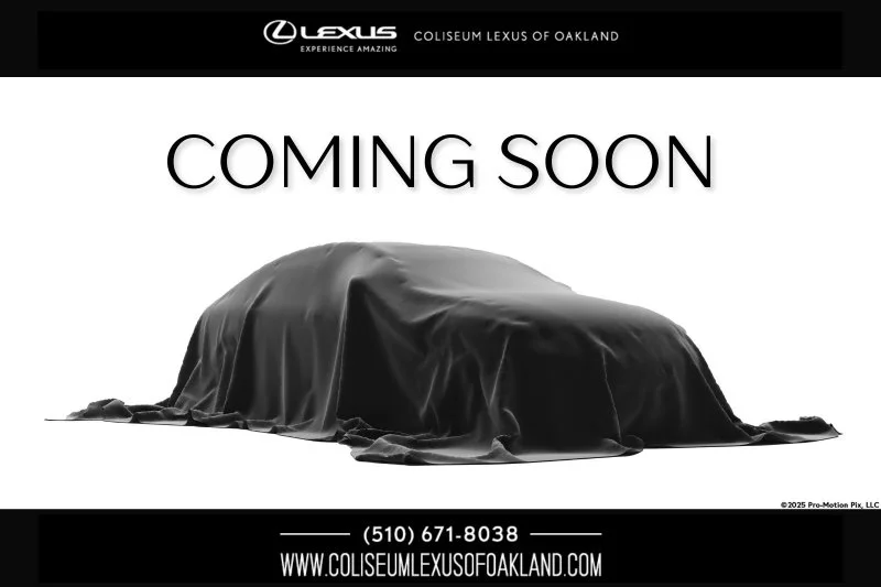 2019 Lexus RX RX 450h AWD photo