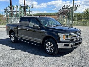 2019 Ford F-150 XLT 4WD photo