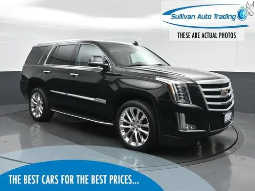 2019 Cadillac Escalade Luxury 4WD photo
