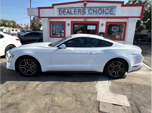 2019 Ford Mustang EcoBoost RWD photo