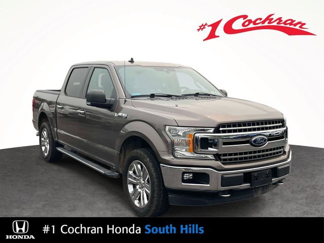 2019 Ford F-150 XLT 4WD photo