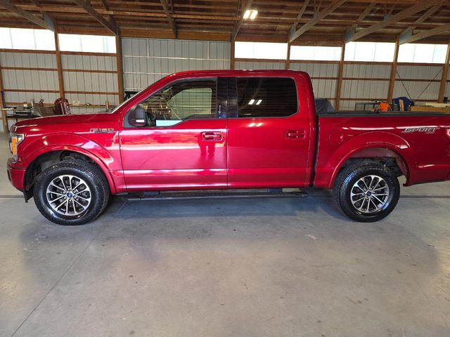 2019 Ford F-150 XLT 4WD photo