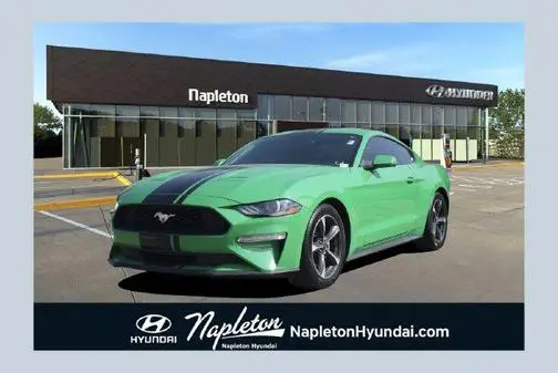 2019 Ford Mustang EcoBoost RWD photo