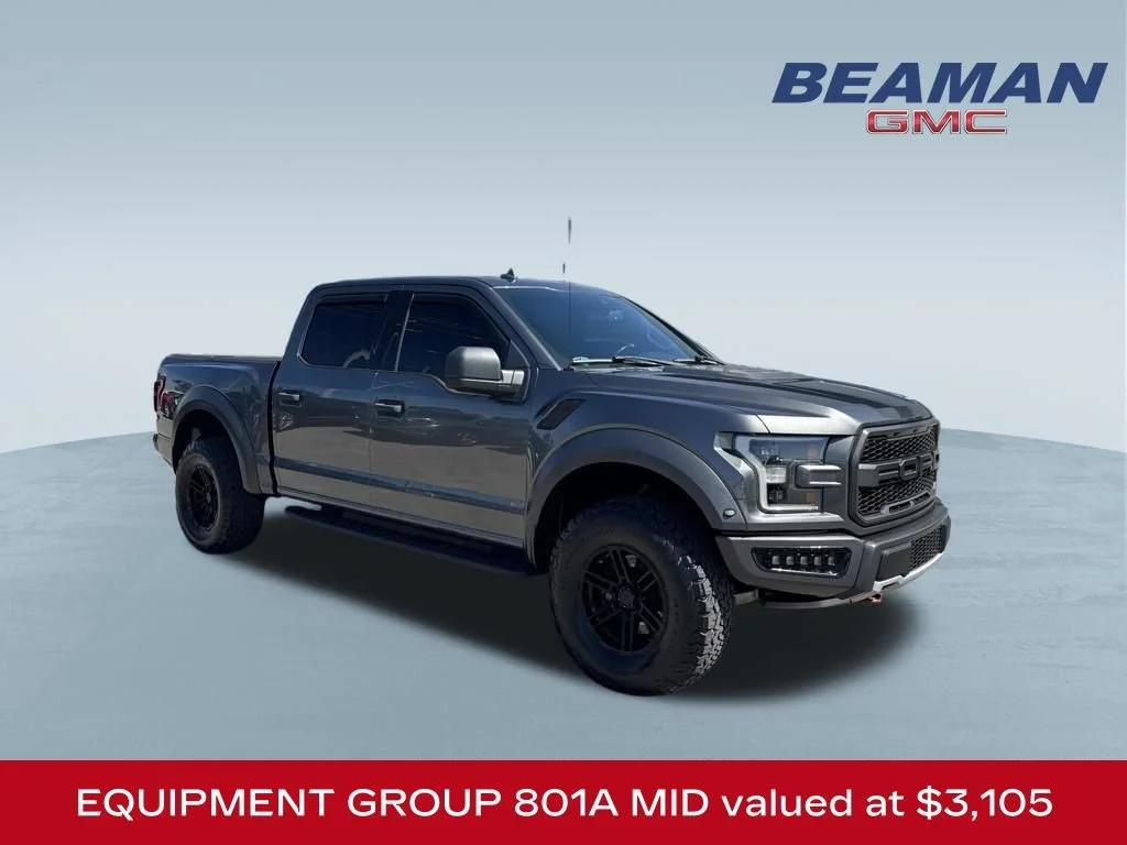 2019 Ford F-150 Raptor 4WD photo
