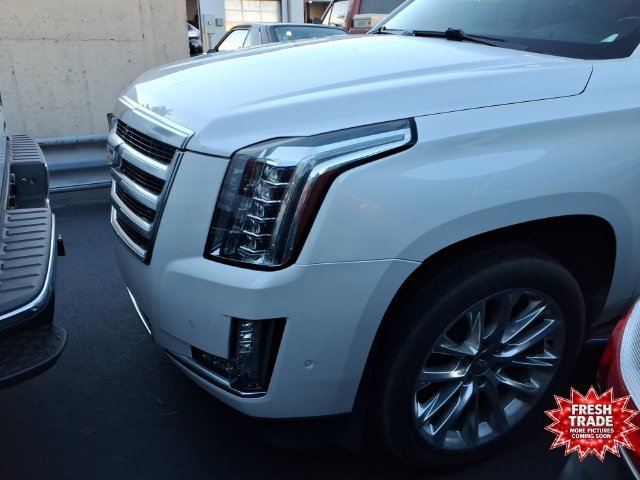 2019 Cadillac Escalade Premium Luxury RWD photo