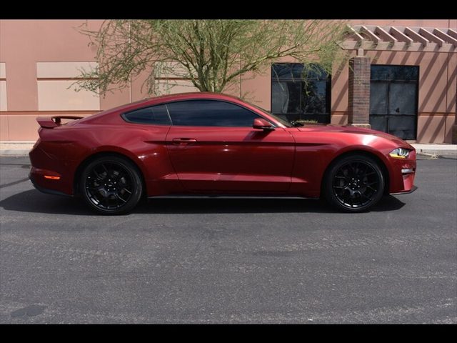 2019 Ford Mustang EcoBoost RWD photo