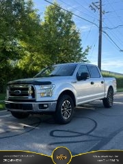 2015 Ford F-150 XLT 4WD photo