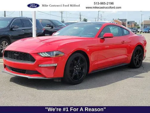 2019 Ford Mustang EcoBoost RWD photo