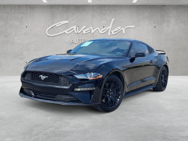 2019 Ford Mustang EcoBoost RWD photo