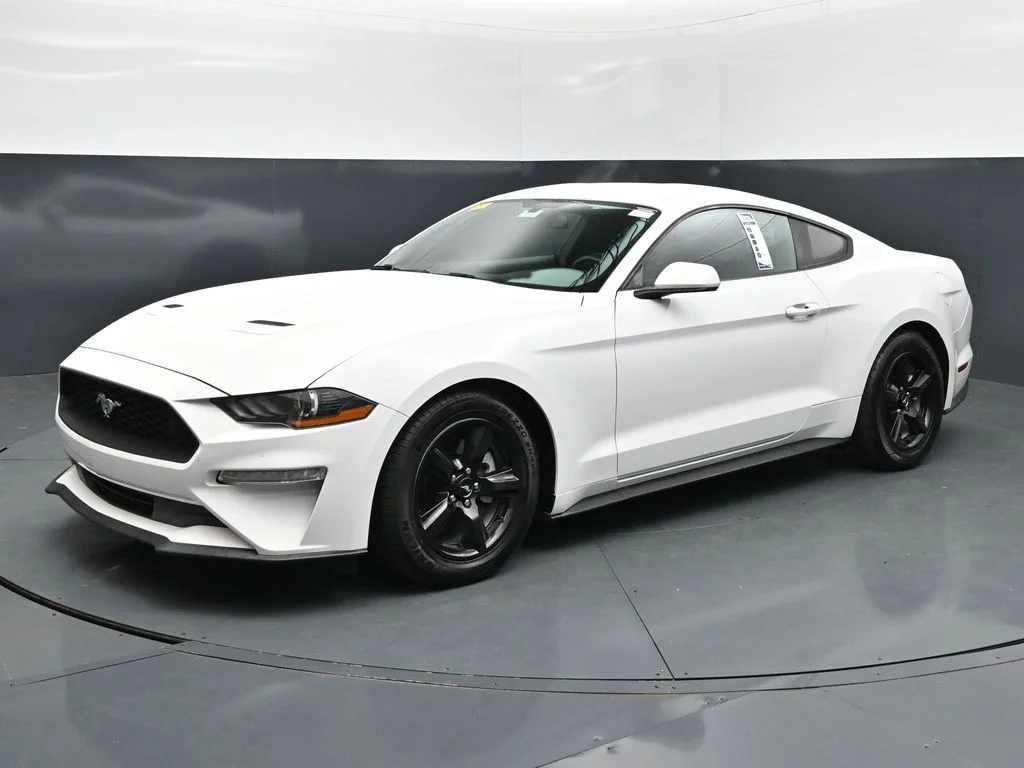 2019 Ford Mustang EcoBoost RWD photo