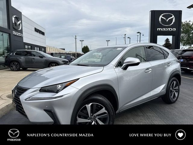 2019 Lexus NX NX 300h AWD photo
