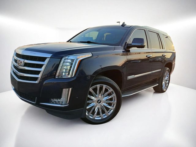 2019 Cadillac Escalade RWD photo