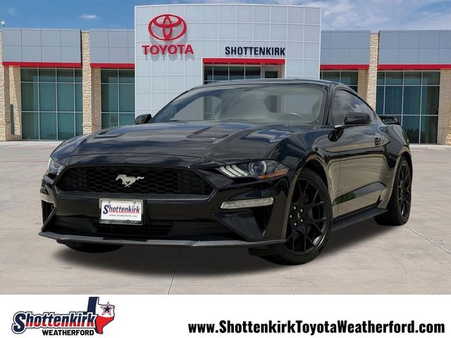 2019 Ford Mustang EcoBoost RWD photo