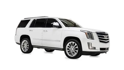 2019 Cadillac Escalade Premium Luxury RWD photo