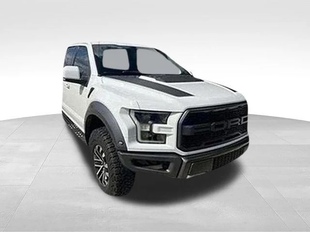 2019 Ford F-150 Raptor 4WD photo