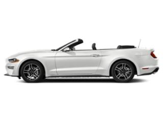 2019 Ford Mustang EcoBoost Premium RWD photo