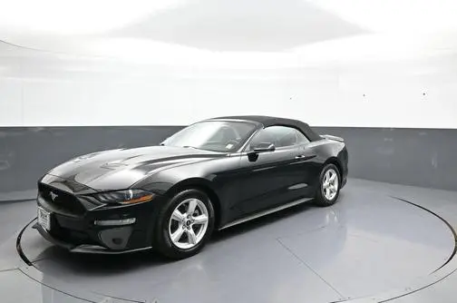 2019 Ford Mustang EcoBoost RWD photo