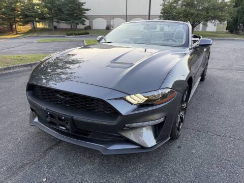 2019 Ford Mustang EcoBoost RWD photo