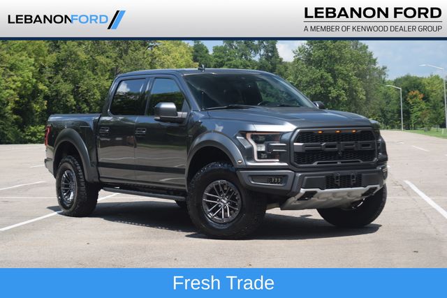 2019 Ford F-150 Raptor 4WD photo