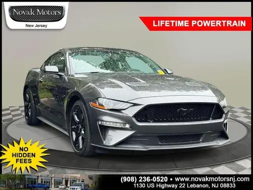 2019 Ford Mustang GT Premium RWD photo