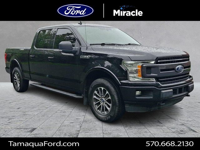 2019 Ford F-150 XLT 4WD photo