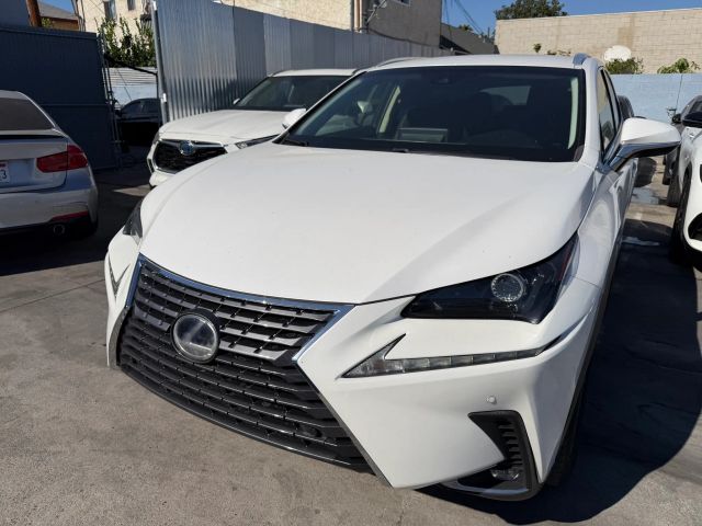 2019 Lexus NX NX 300h AWD photo