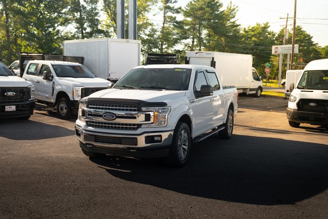 2019 Ford F-150 XLT 4WD photo