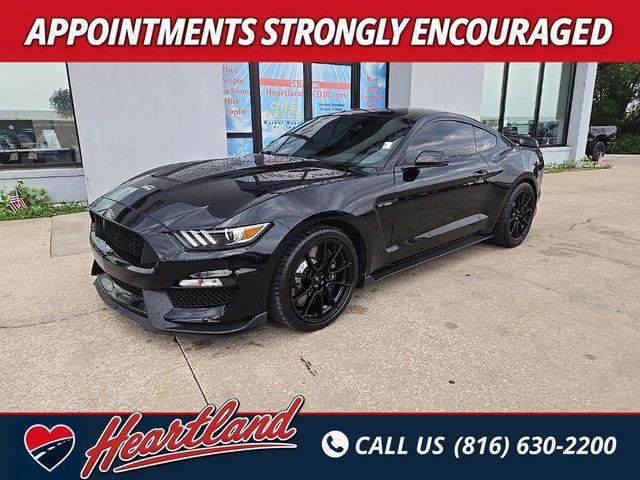 2019 Ford Mustang Shelby GT350 RWD photo