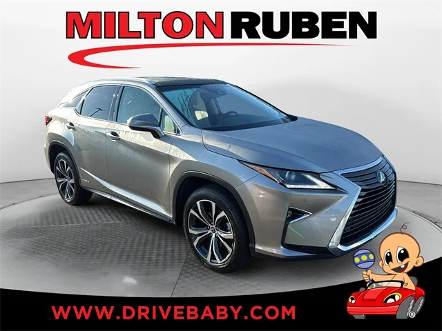 2019 Lexus RX RX 450h AWD photo