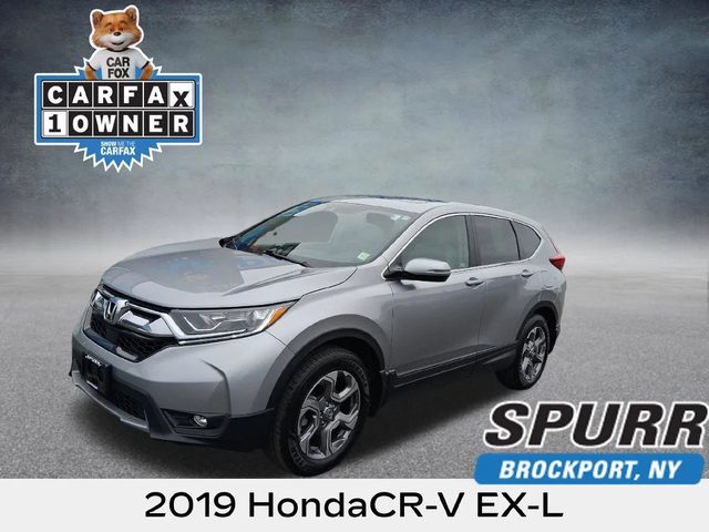2019 Honda CR-V EX-L AWD photo