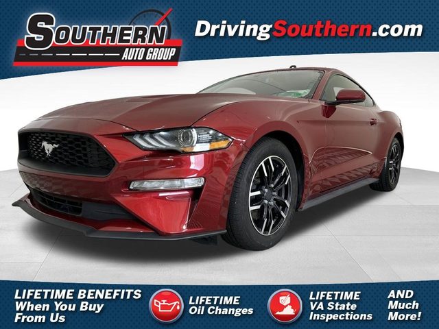 2019 Ford Mustang EcoBoost RWD photo