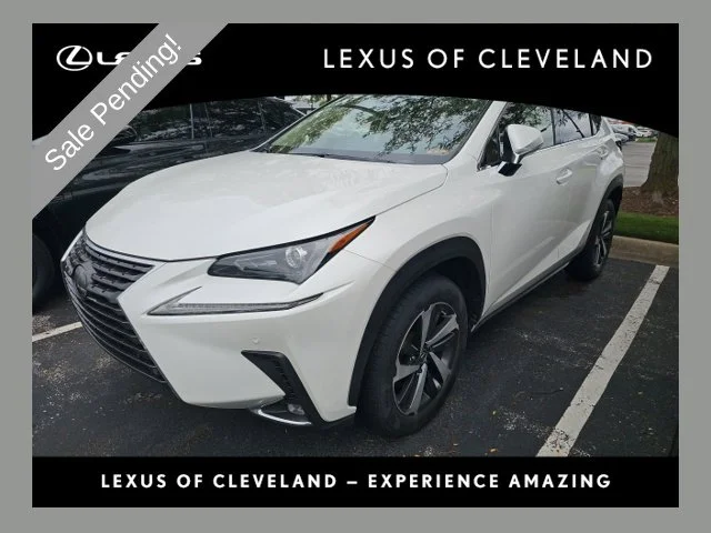 2019 Lexus NX NX 300 AWD photo