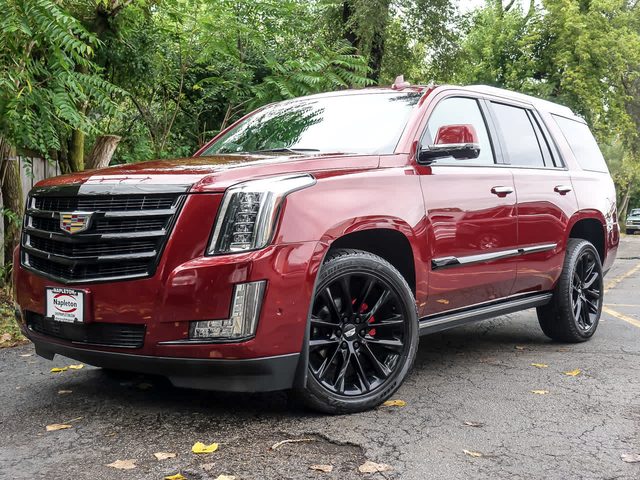 2019 Cadillac Escalade Premium Luxury 4WD photo