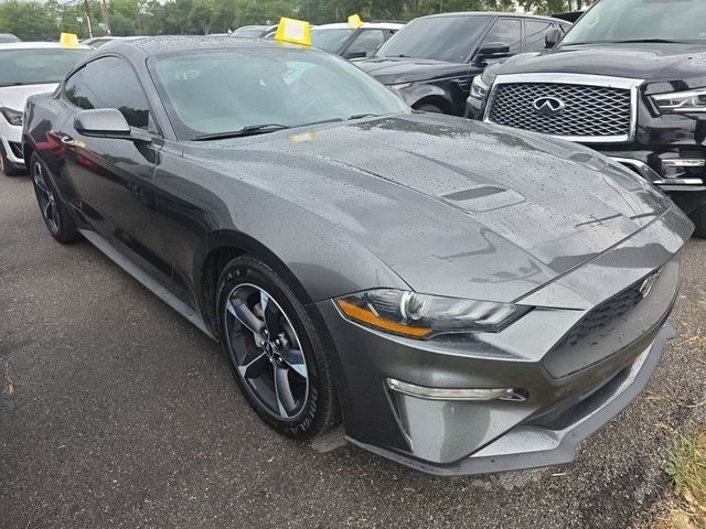2019 Ford Mustang EcoBoost RWD photo