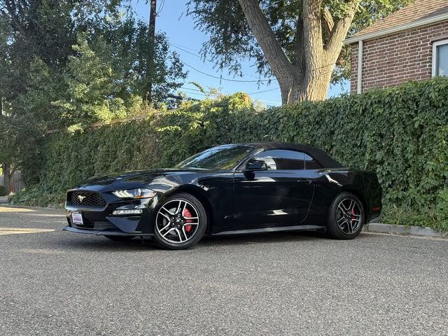 2018 Ford Mustang EcoBoost Premium RWD photo