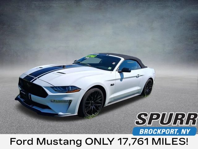 2019 Ford Mustang GT Premium RWD photo